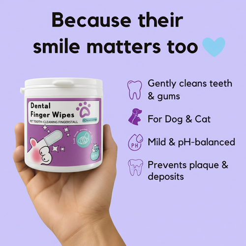 FreshWipes Kit - Protects Against Dental Diseases