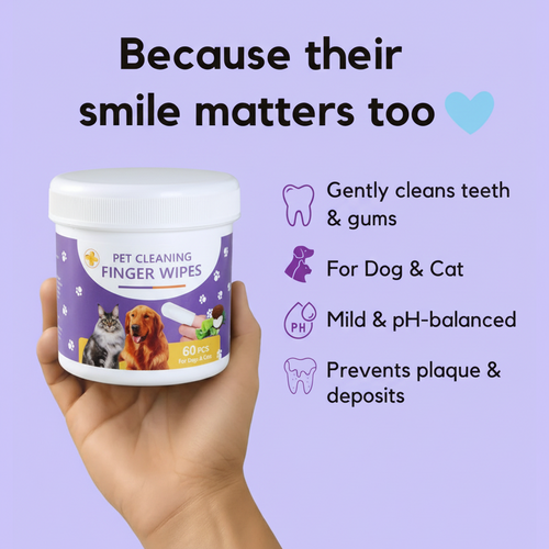 Fresh Wipes - Protects Against Dental Diseases