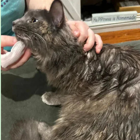 Customer review 1 for Miss Barubt Serum-Boosted Skin Tint Balm