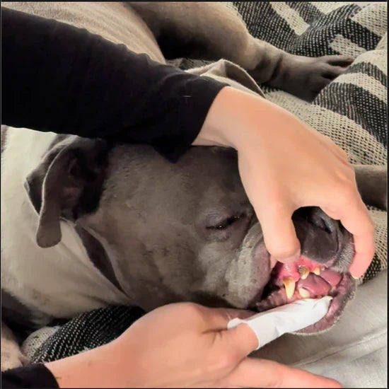 Customer review 2 for Miss Barubt Serum-Boosted Skin Tint Balm