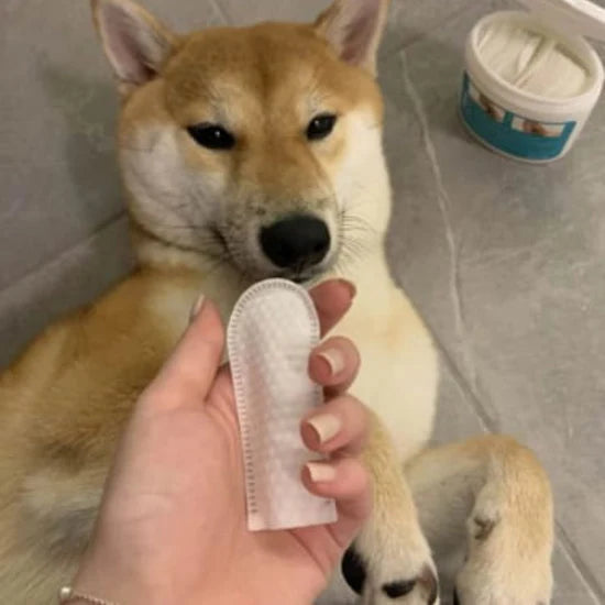 Customer review 4 for Miss Barubt Serum-Boosted Skin Tint Balm