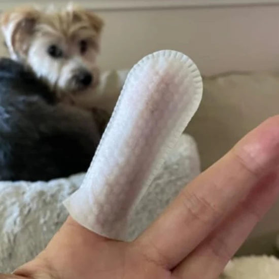 Customer review 5 for Miss Barubt Serum-Boosted Skin Tint Balm