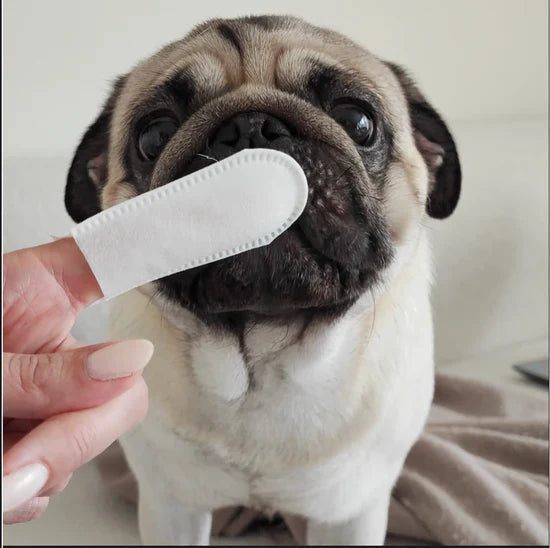 Customer review 6 for Miss Barubt Serum-Boosted Skin Tint Balm